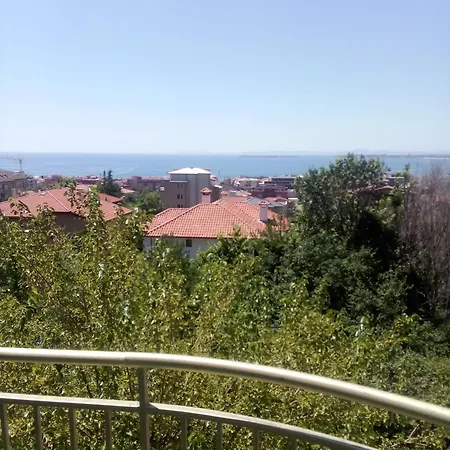 Poliyana 45